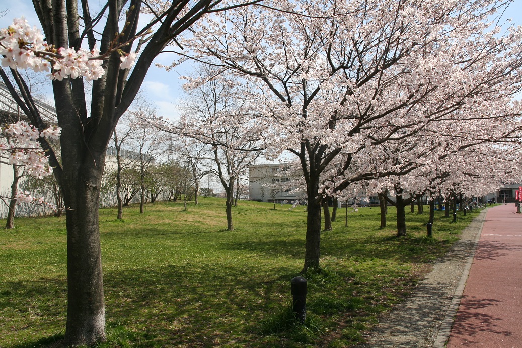 �������O�E������